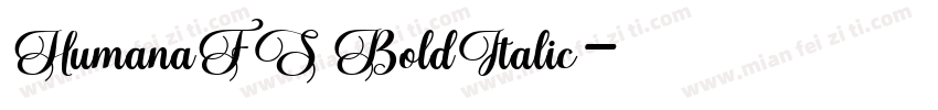 HumanaFS BoldItalic字体转换
